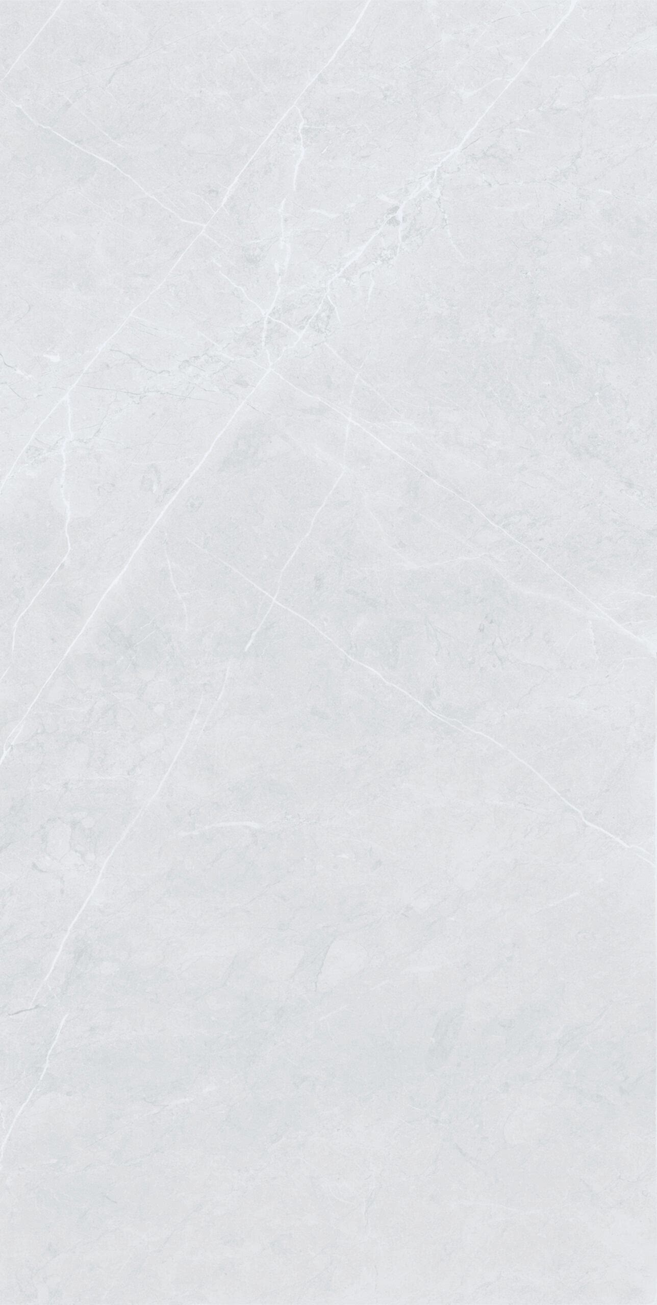 Eternal Açık Gri 60x120 Mat 9mm